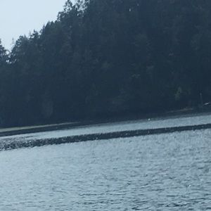 Meet your Posher, Mehan